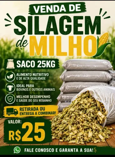 Silagem 