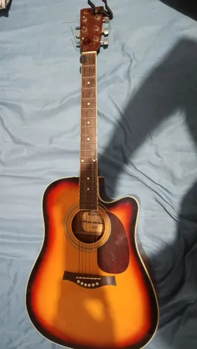 Vendo Violão Gianinni