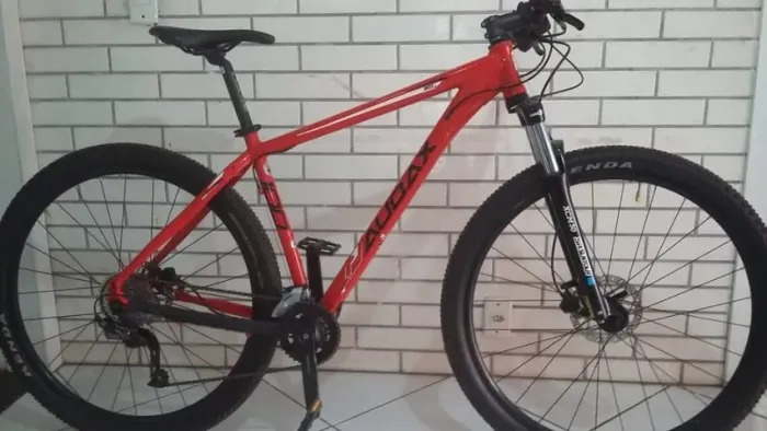 bicicleta audax 100