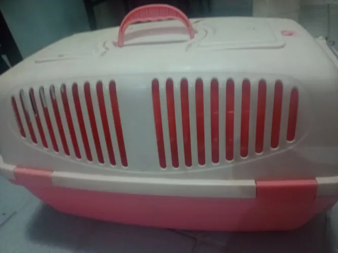 Caxinha para transportar gato filhotes ou adulto