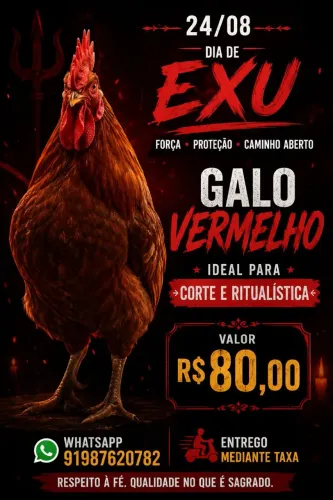 GALO VERMELHO