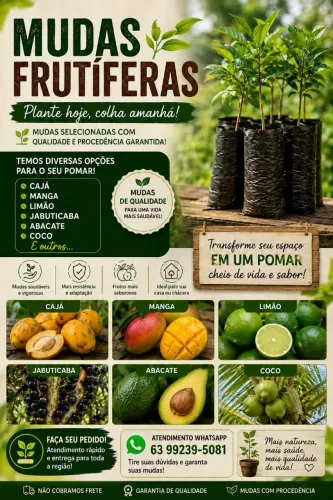 Mudas de plantas frutíferas
