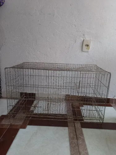 Gaiola grande 200 reais
