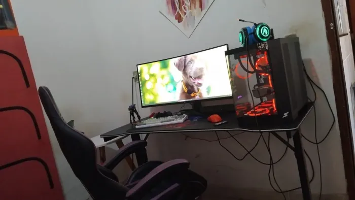 Pc gamer