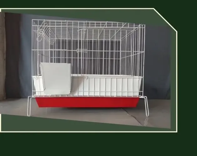 Gaiola profissional de luxo pra coelho 