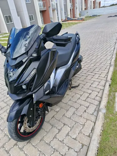 Cruisym 300