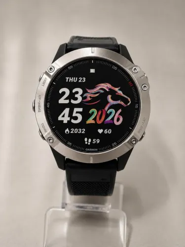 Garmin Fenix 6