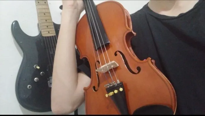 Violino