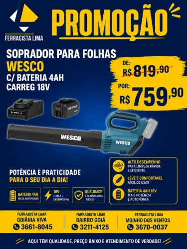 Soprador De Folhas 18v Wesco Ws8517 + Carregad Biv E 1bat 4a