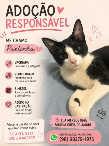 Gata pra doação
