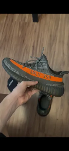 Yeezy 350 beluga 42