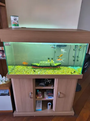 Aquário 200 L COMPLETO