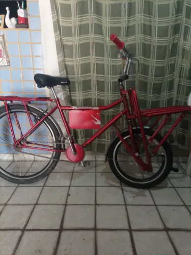 Bicicleta cargueira