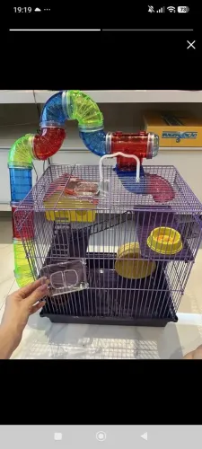 Gaiola para hamster