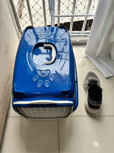 Caixa de transporte GG nova