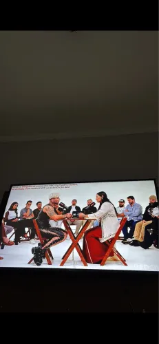 Televisão 44 polegadas