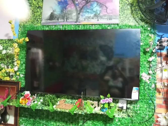Tv 55 polegadas TCL nova zero