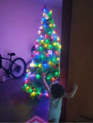 Árvore de natal