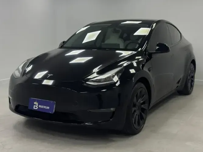 Tesla Model Y Performance 2021