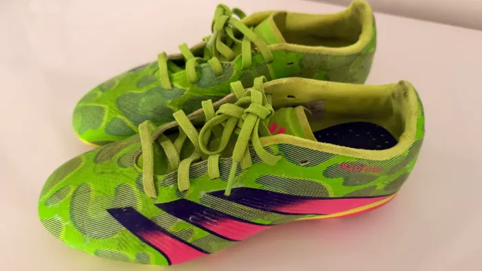chuteira adidas predator campo 36