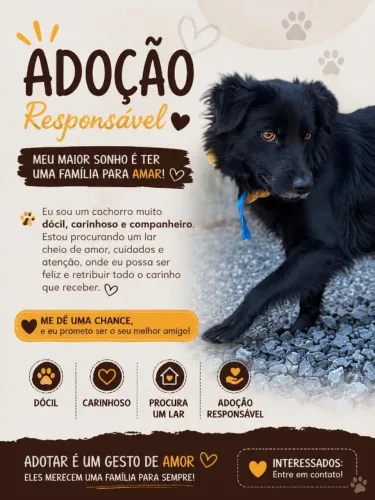 Doação