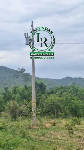 Fazenda Oportunidade Próximo a Porto Nacional Área 20 de Alqueires
