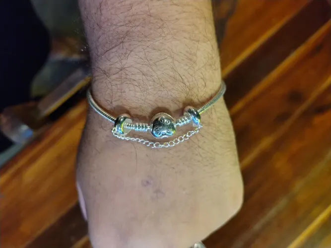 Pulseira Pandora com pega ladrao