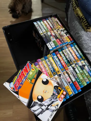 Mangá em Japonês Katekyo Hitman Reborn Incompleto