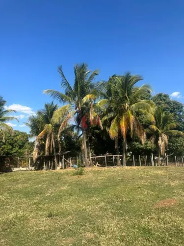 Chácara para Venda em Pirapozinho, CHACARA EM PIRAPOZINHO, 3 dormitórios, 1 banheiro, 1 va