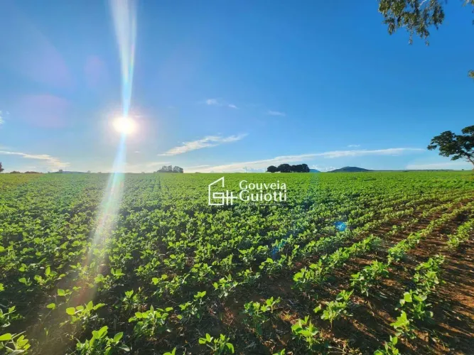 Fazenda à Venda Vila Propício/GO | 13 Alqueires | Dupla Aptidão | Excelente Oportunidade