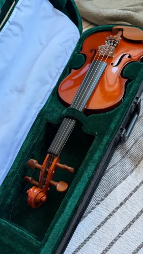 Violino Michael VNM146 4/4 - NOVO
