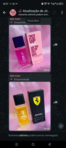 PERFUME MASCULINO E FEMININO 60
