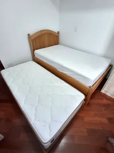 Bicama Solteirão
