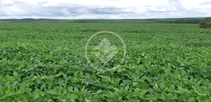 Fazenda à venda em Água Boa/MT 17.000 Hectares