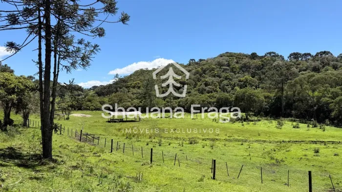 Rancho Queimado - Sítio para Cavalos - 32.000 m² com 6 Baias e Casa Completa