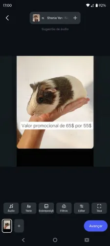 Porquinho inglês 