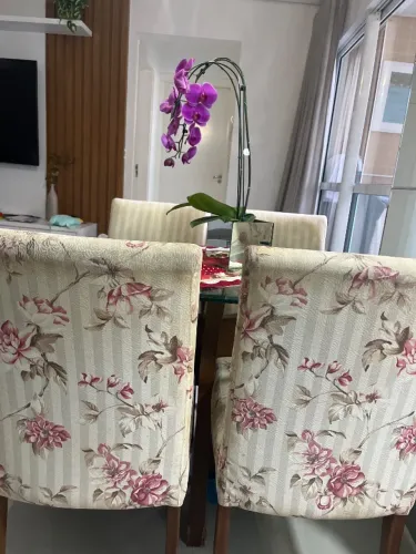 Mesa de jantar 