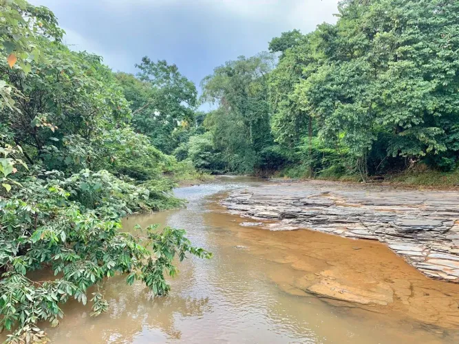 Fazenda na Região de Felixlândia,MG MUITA ÁGUA