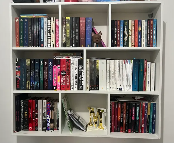 Estante de Livros