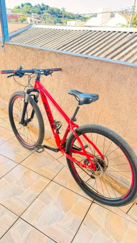 Bicicleta Audax