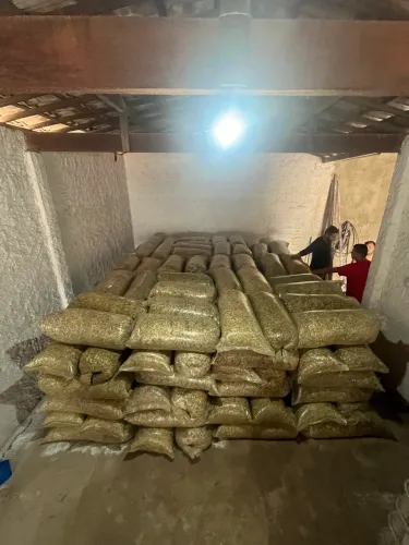Venda de Silagem