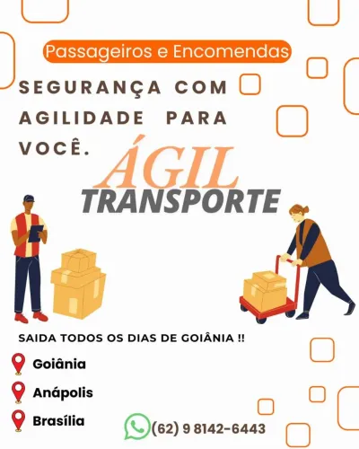 Encomendas Goiânia Brasília Diariamente 
