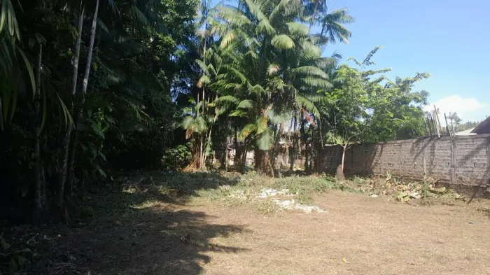 Terreno no São José Operário Santarem 2500 m2