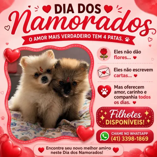 Lulu femea e macho