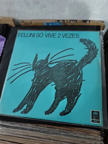 Disco de vinil Felline
