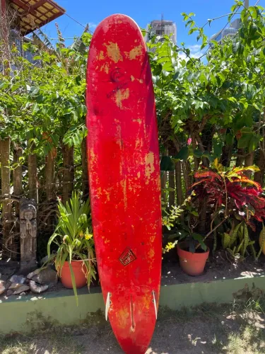 Long board 9.0