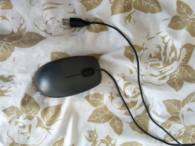 Mouse simples