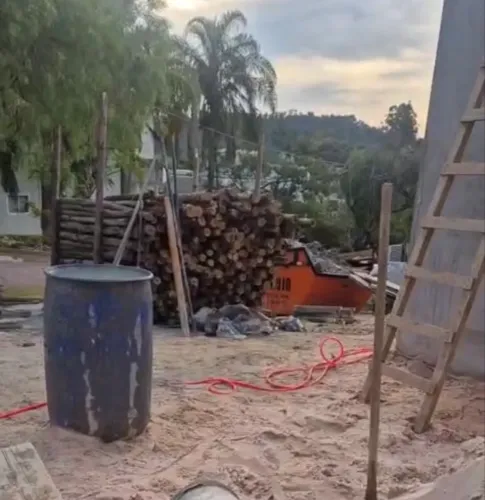 Lote de Escoras de Eucalipto Usadas (3 a 3,5 metros)