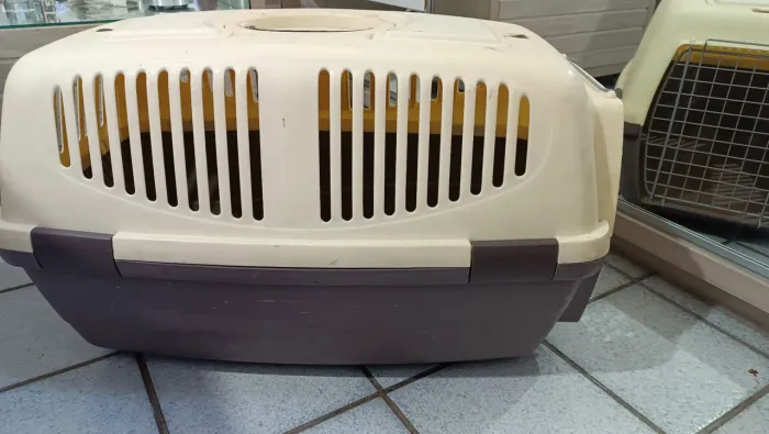 Caixa de transporte para pet reforçada 