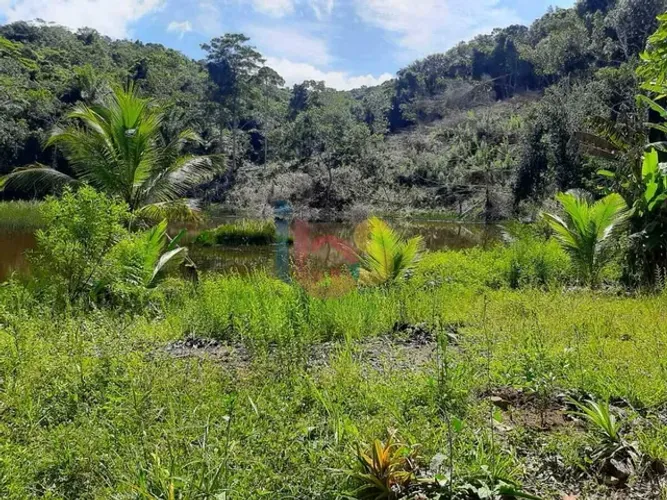 Alugo Fazenda no Rio do Engenho